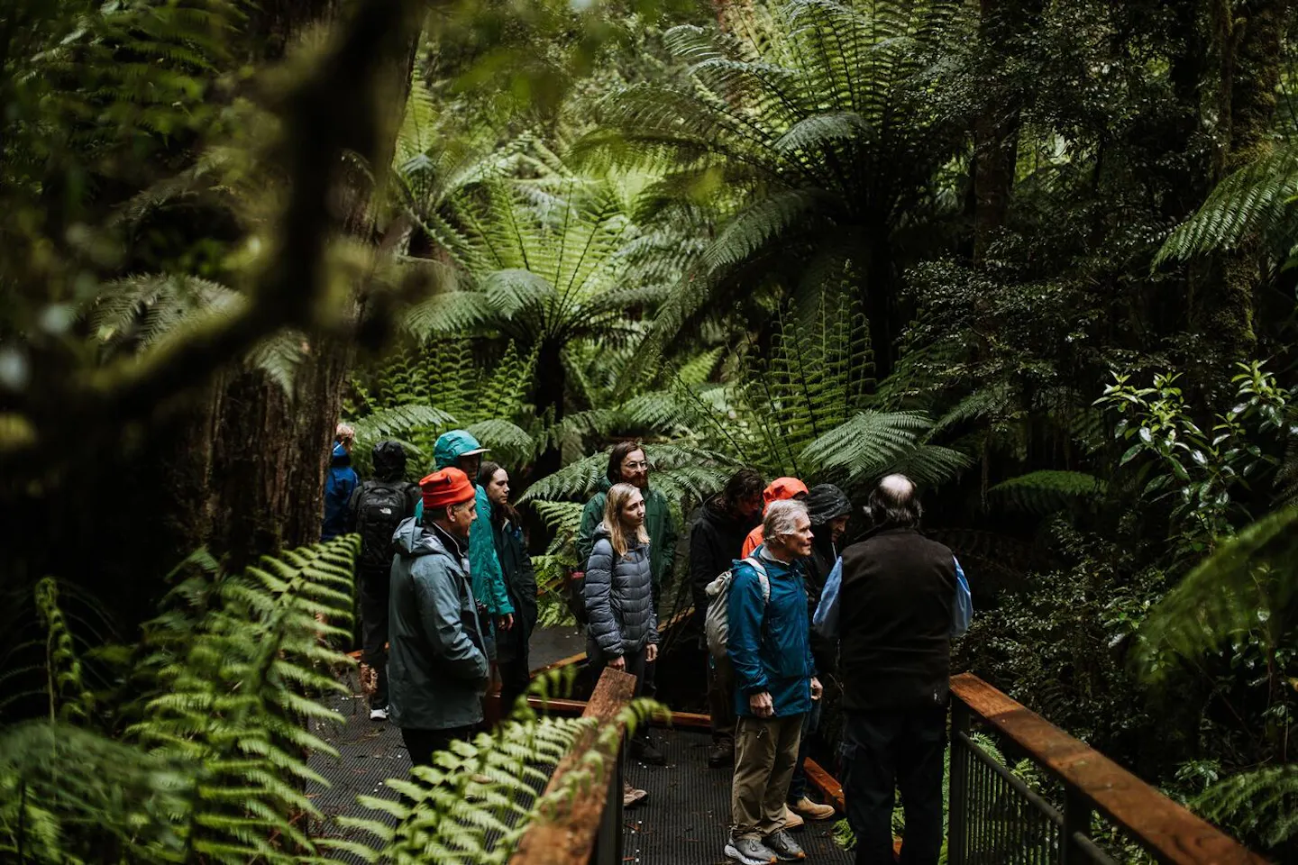 The Future Great Forest National Park of Australia